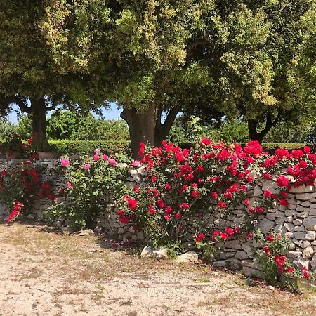 Ai Pilieri Di Bagnoli Vila Castel Del Monte  Exterior foto