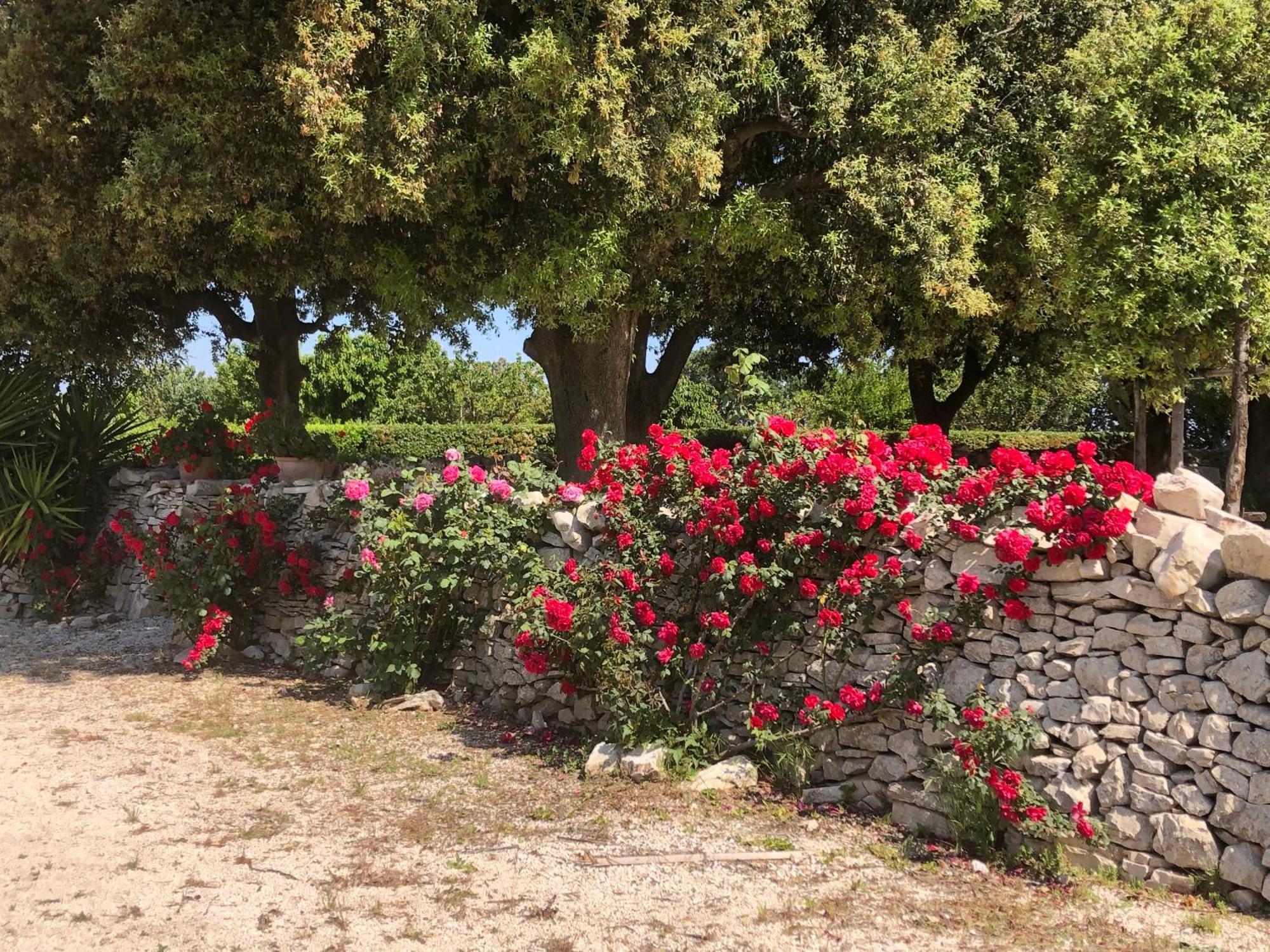Ai Pilieri Di Bagnoli Vila Castel Del Monte  Exterior foto