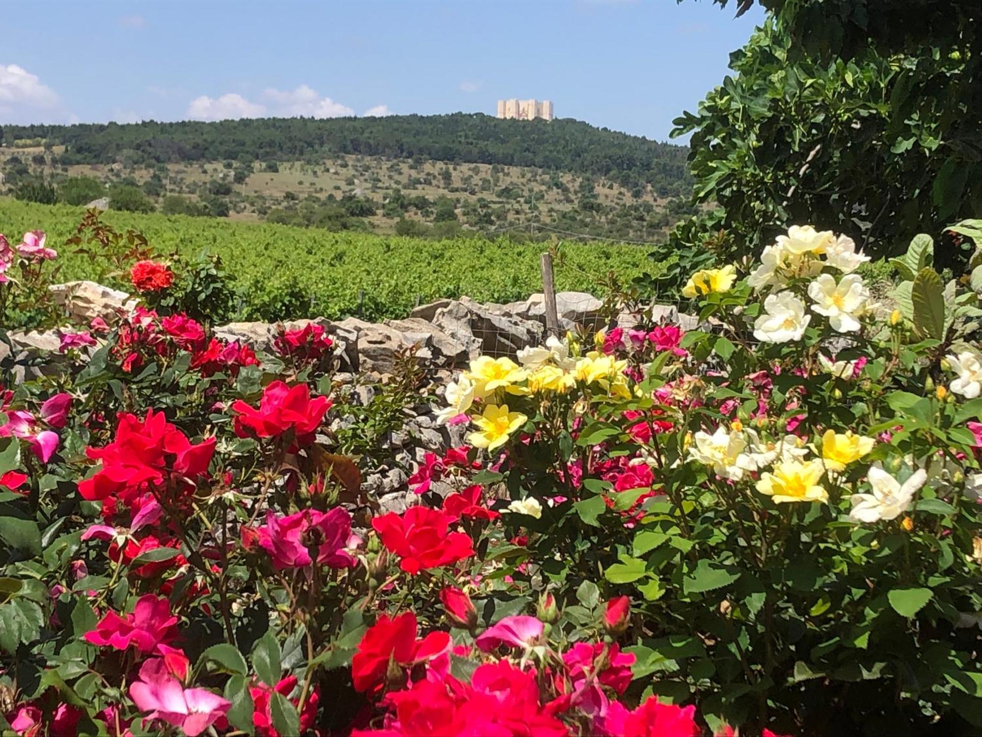Ai Pilieri Di Bagnoli Vila Castel Del Monte  Exterior foto