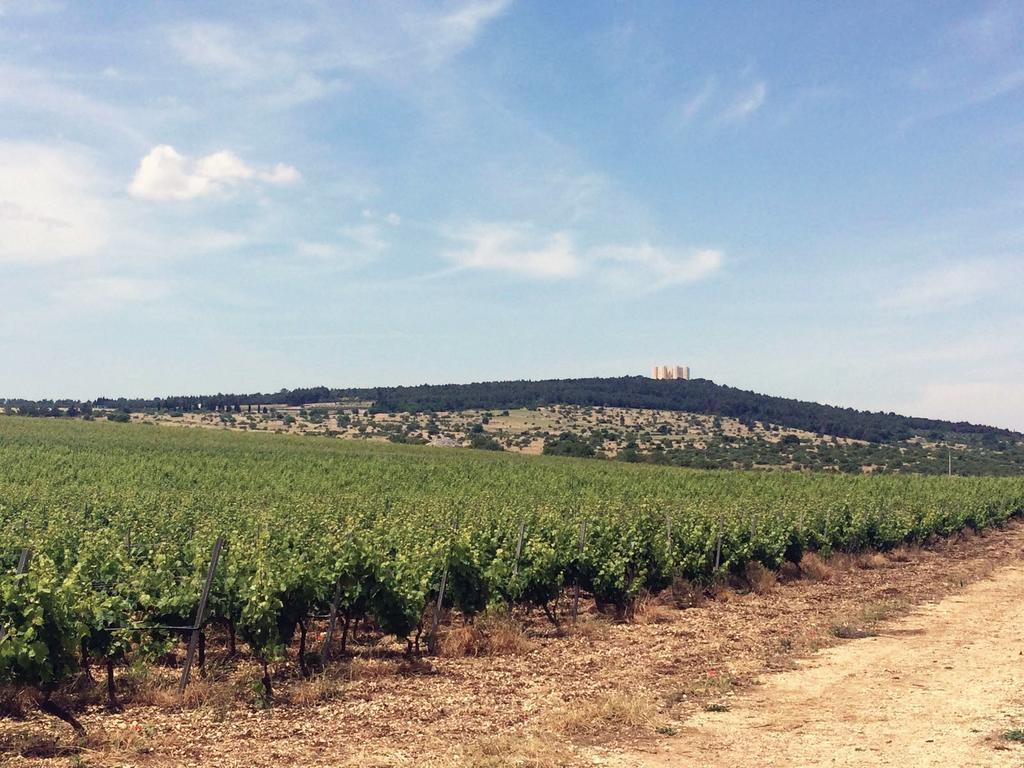 Ai Pilieri Di Bagnoli Vila Castel Del Monte  Exterior foto